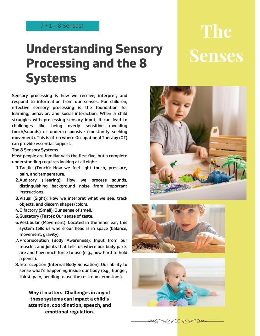 7 Senses Kids Magazine, Winter 2026, page 5